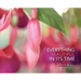 Everything Beautiful in Its Time