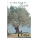 An Olive Branch for Sante
