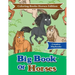 Big Book of Horses - Coloring Books Horses Edition