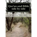 Qur'an and Bible Side by Side: a non-partial anthology