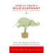 How to Train a Wild Elephant: And Other Adventures in Mindfulness