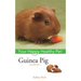Guinea Pig: Your Happy Healthy Pet