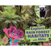 Explore Rain Forest Habitats with Abby