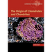 The Origin of Chondrules and Chondrites