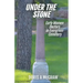 Under the Stone: Early Women Doctors in Evergreen Cemetery