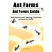 Ant Farms. Ant Farms Guide. Ant Farms and Raising Colonies of Ants as Pets.