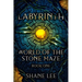 Labyrinth: World of the Stone Maze, Book 1