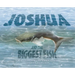 Joshua and the Biggest Fish