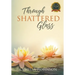 Through Shattered Glass