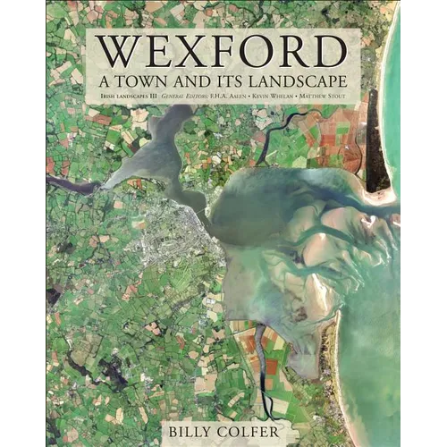 Wexford: A Town and Its Landscape