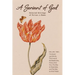 A Servant of God: Selected Writings of Fulton J. Sheen: Volume Two: The Seven Last Words, The Cross & the Beatitudes, Victory Over Vice, The Way to Ha