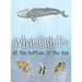 What Fish Do At The Bottom Of The Sea