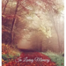 "In Loving Memory" Funeral Guest Book, Memorial Guest Book, Condolence Book, Remembrance Book for Funerals or Wake, Memorial Service Guest Book: HARDC