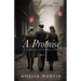 A Promise: A Sweeping Story of Friendship in WWII