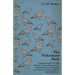 The Widowhood Book - A Complete Guide to the Best Methods of Racing Pigeons on the Widowhood System as Described by the Foremost Experts in Britain, B