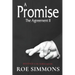 A Promise, The Agreement II: Revenge is the Hidden Agenda