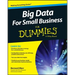 Big Data for Small Business for Dummies