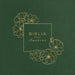 Rvr 1960 Biblia Para Ilustrar, Verde Símil Piel