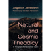 Natural and Cosmic Theodicy: A Trinitarian Panentheistic Vision