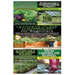 Ultimate Guide to Companion Gardening for Beginners & Ultimate Guide to Greenhouse Gardening for Beginners & Ultimate Guide to Raised Bed Gardening fo