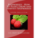 Raspberries - How To Plant, Grow and Harvest Raspberries: USDA Bulletin