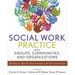 Social Work Practice with Groups, Communities, and Organizations