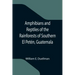 Amphibians and Reptiles of the Rainforests of Southern El Petén, Guatemala