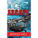 Ice Escape