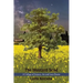 The Mustard Seed: A Collage of Science, Art and Love Poems