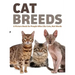 Cat Breeds: A Picture Book for People Who Like Cats, Not Words