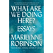 What Are We Doing Here?: Essays