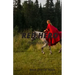 Red Hero: Story of a Girl from a Hidden Hero to a Teenage Queen