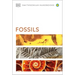 Fossils