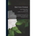 British Ferns: an Introduction to the Study of the Ferns, Lycopods, and Equiseta Indigenous to the British Isles: With Chapters on th