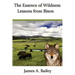 The Essence of Wildness: Lessons from Bison