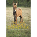 Only God Can Make a Donkey Talk