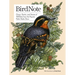Birdnote: 100 Illustrated Bird Stories to Inspire Your Bird Watching
