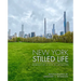 New York: Stilled Life