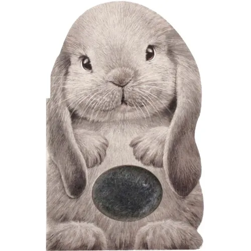 Furry Bunny