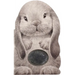 Furry Bunny