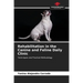 Rehabilitation in the Canine and Feline Daily Clinic