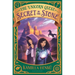 Secret in the Stone