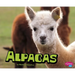 Alpacas