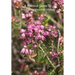 A Practical Guide To Producing Heather Honey
