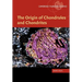 The Origin of Chondrules and Chondrites