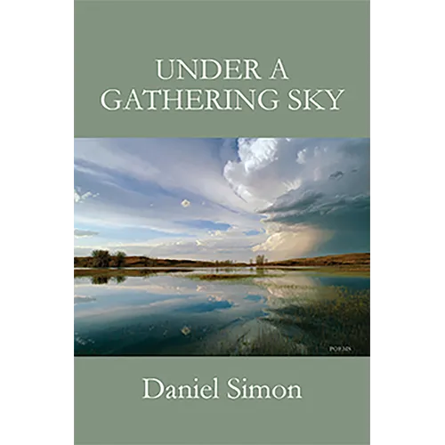 Under a Gathering Sky