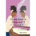 Finding Beauty in Disaster 2
