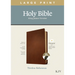 KJV Large Print Thinline Reference Bible, Filament Enabled Edition (Red Letter, Genuine Leather, Brown, Indexed)