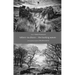 The Barking Waves / Tafann Na Dtonn