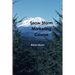 Snow Storm Marketing Course